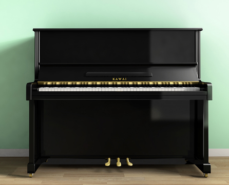 钢琴有哪些品牌，钢琴十大品牌排行榜 (https://www.cetpin.com/) 钢琴 第6张