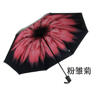 雨伞十大品牌排行榜，雨伞哪个品牌比较好？ (https://www.cetpin.com/) 雨伞 第5张